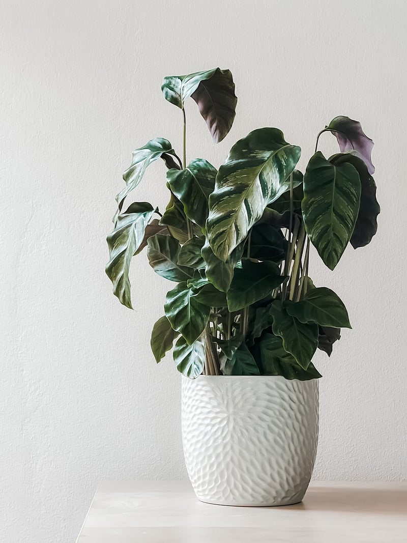 Vertical Plant Stand